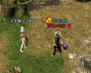 卧龍乄殺手